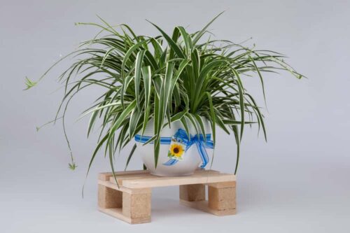 Minipalette PALau als Geschenksidee